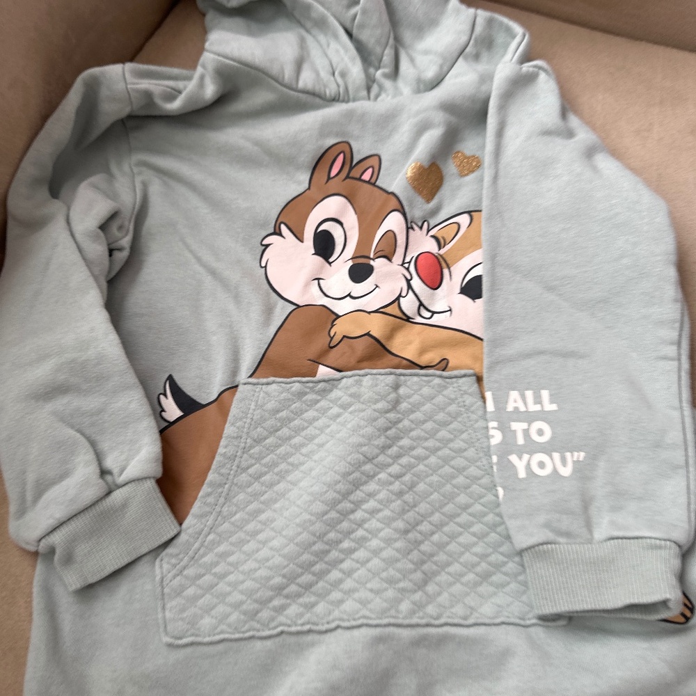 Chip and Dale hoodie Sweater dress